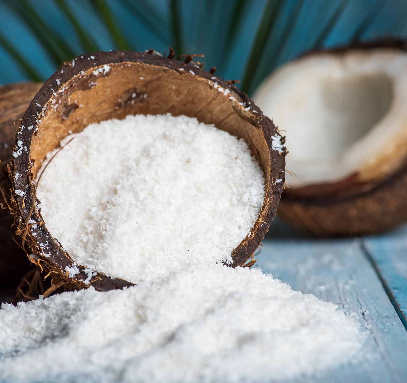 SusFEQT-Coconut-Protein-Powder